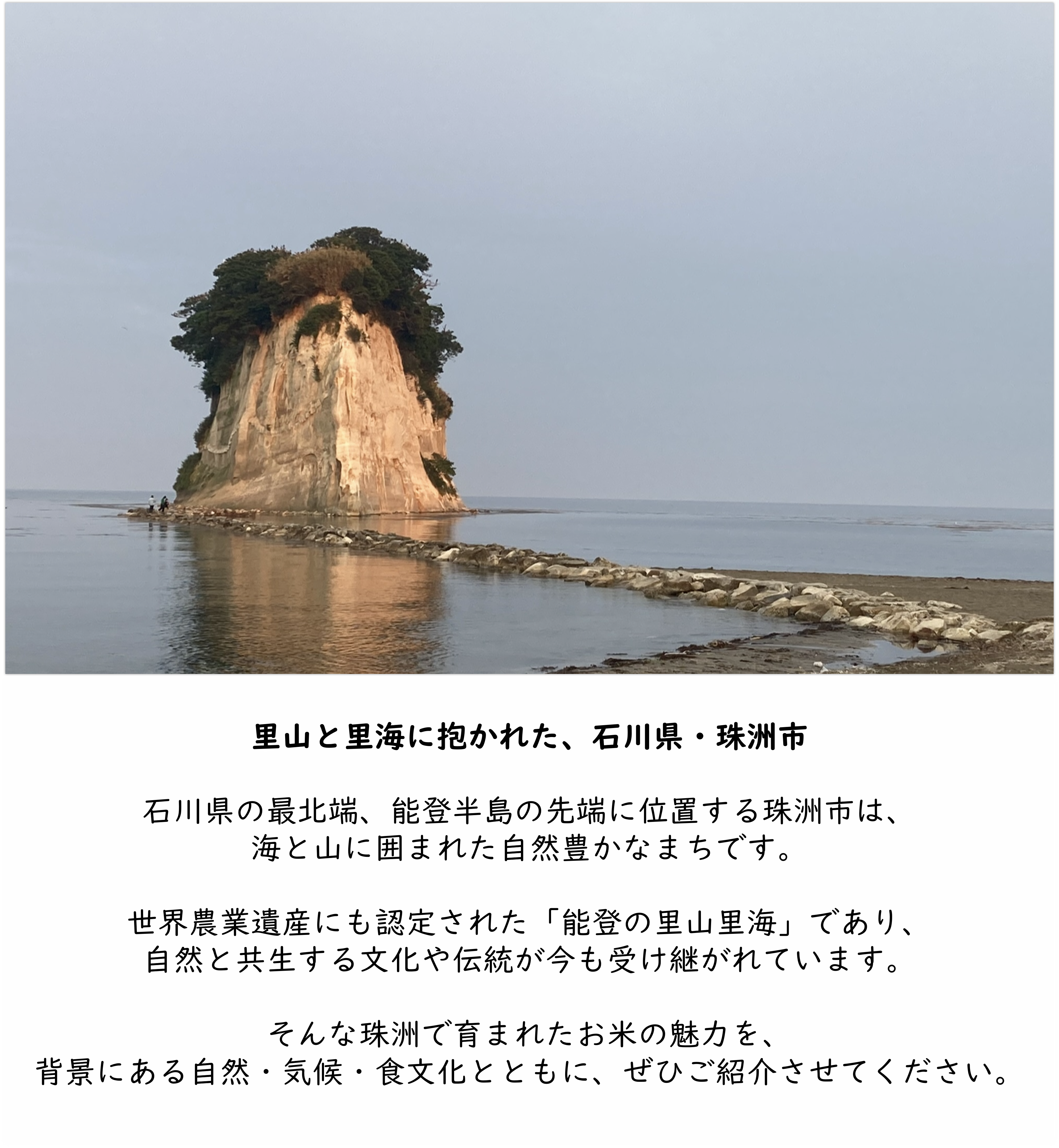 能登産「能登ひかり」｜農家直送米｜業務用・卸売対応｜五人百姓